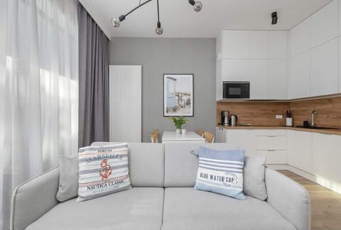 Bright open-plan living room with a grey sofa and a modern kitchenette.
