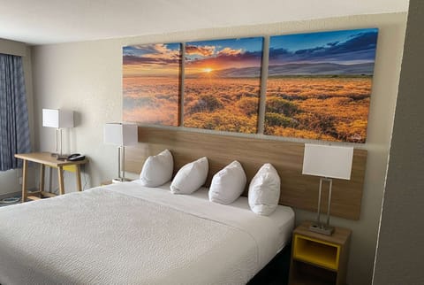 Desk, free WiFi, bed sheets