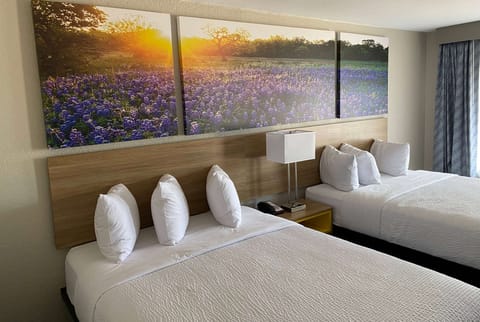 Desk, free WiFi, bed sheets