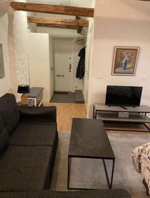 Apartment | Living area | Flat-screen TV