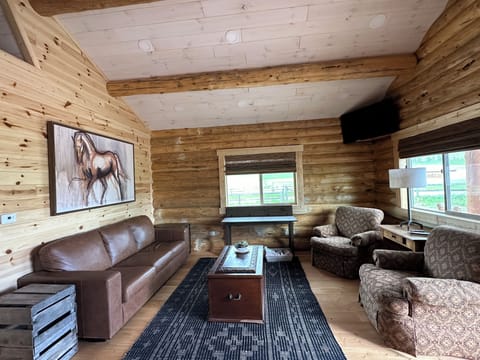 Den with queen sleeper sofa