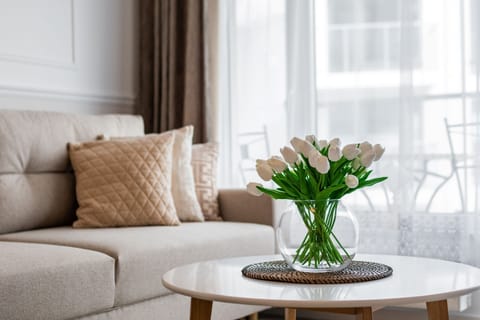 Deluxe Apartment | 1 bedroom, hypo-allergenic bedding, individually decorated