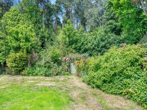 Garden | Stone Cottage, Cromer