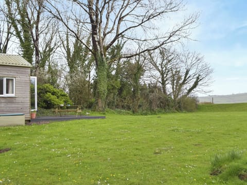 Outdoor area | Ponderosa, Llansteffan