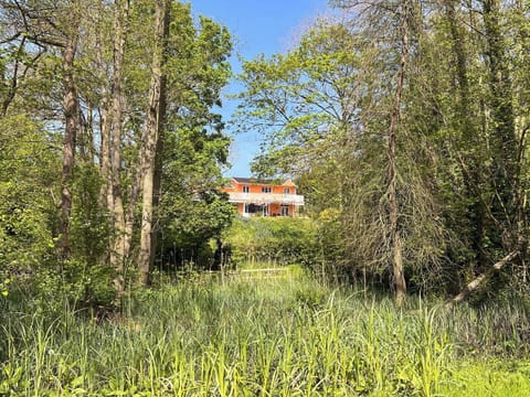 Surrounding area | Dunburgh Wood, Geldeston, near Beccles