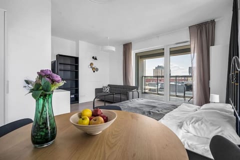 Quiet Studio with Queen and Sofa Beds | Book Now with RENTUJEMY
