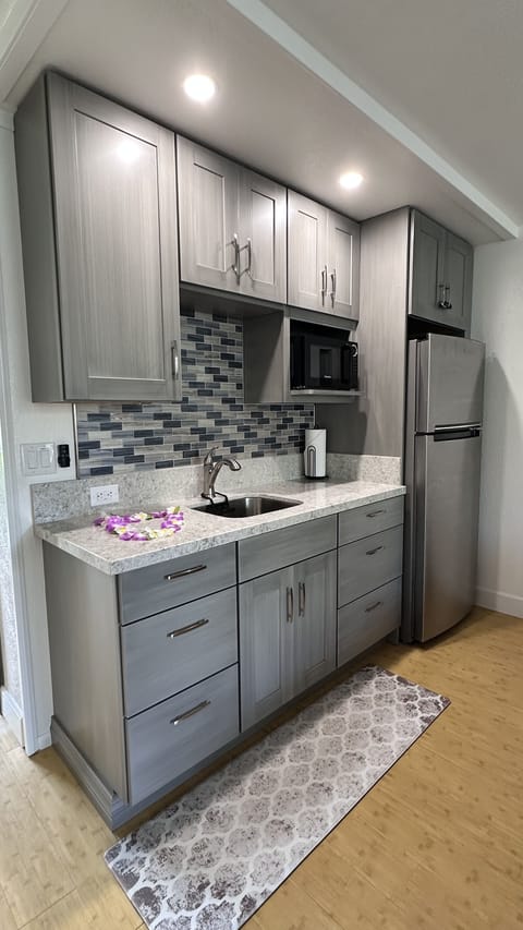 Full size refeigerator, microwave, coffee machine, hotplate for cooking.