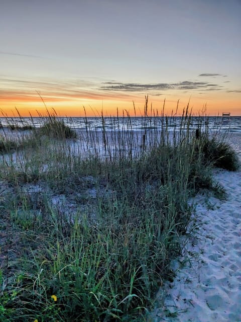 Sunrise over beach seagrass—breathtaking morning views to start your day!

