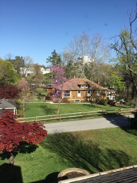 large fenced in backyard
