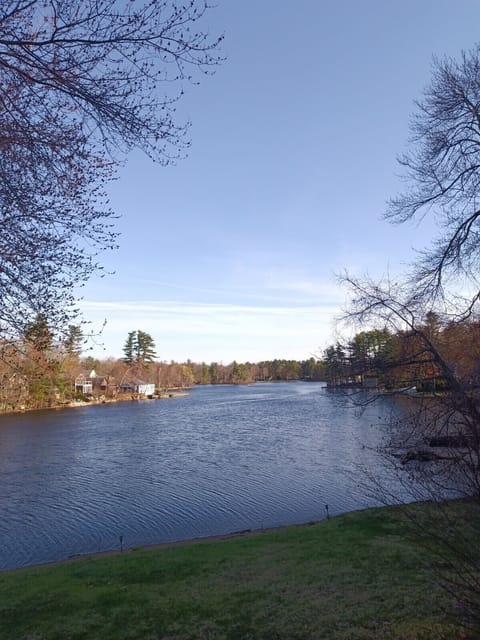Lake view