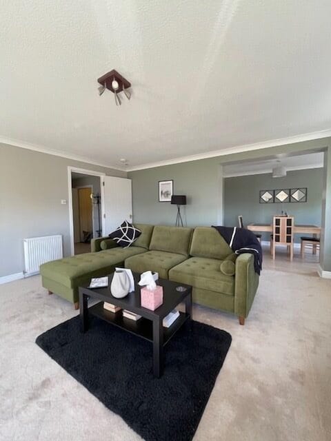 Our new designer olive chaise lounge/sofa bed is brand new for May 2025. Relax and unwind while taki