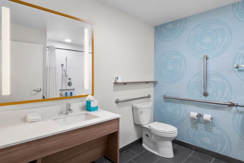 Room, 1 King Bed, Accessible (Mobility, Hearing, Roll-In Shower) | Bathroom