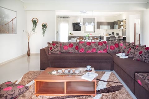 Main Luxury Living Room