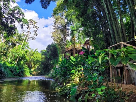 32-inch Smart TV with satellite channels, Netflix, streaming services