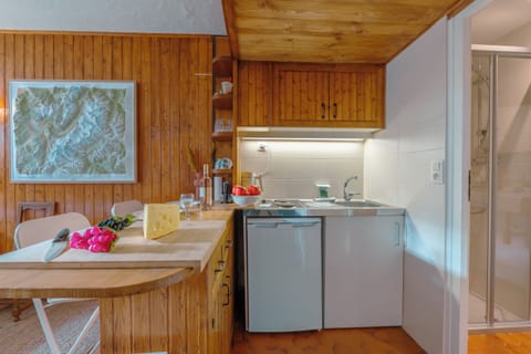Kitchen and dining area