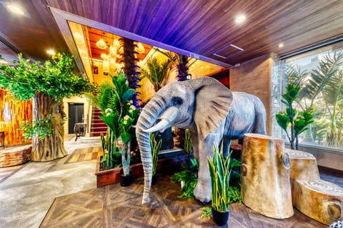 Property amenity