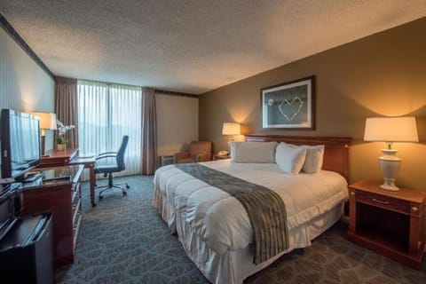 Sleeping Area