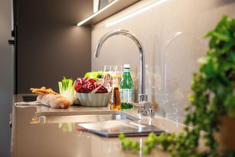 Suite, Lake View | Private kitchen | Full-size fridge, oven, stovetop, dishwasher