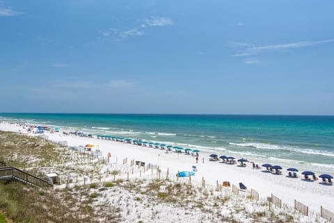 Condo, 1 Queen Bed with Sofa bed (Gulfview II 218) | Beach