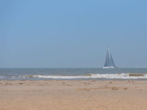 Water, Sky, Boat, Watercraft, Vehicle, Sailing, Beach, Mast, Sailboat, Tree