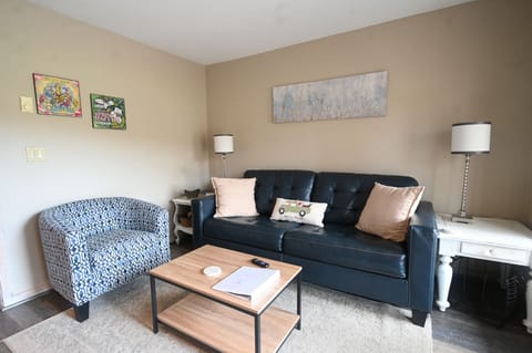 New furniture. Leather sofa sleeper