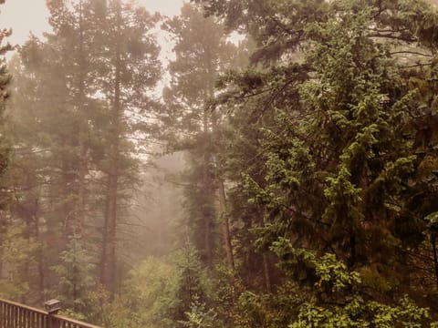 A foggy raining morning from 1 of the two decks on the home.