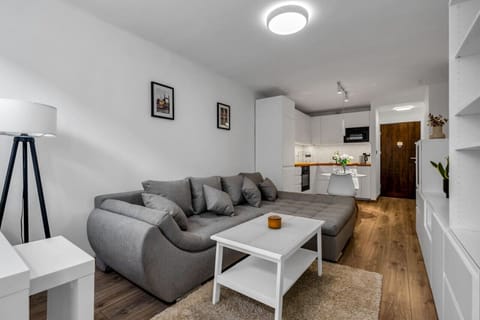 Comfortable Living Room with Sofa Bed and Smart TV | Book Now with RENTUJEMY
