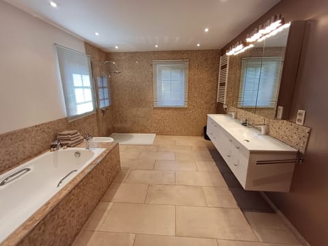 Deluxe Suite | Bathroom | Free toiletries, hair dryer