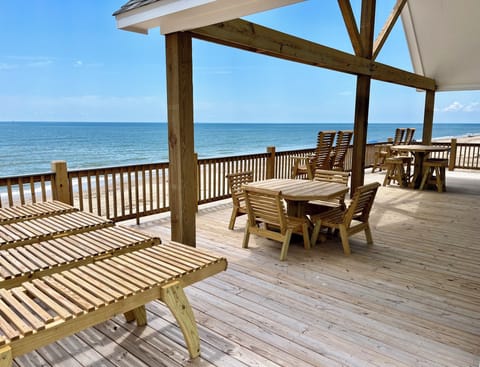 Beachfront deck, amazing view of coast, wildlife, beach activities!