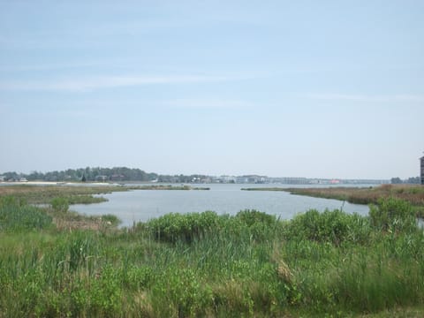 605 Crowley Drive - Serene Indian River Bay Marsh - The property overlooks expansive wetlands and the tranquil waters of the Indian River Bay, offering a peaceful natural backdrop for residents.