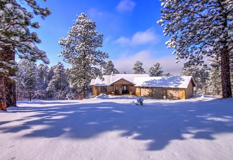 Dakota Pines in the snow