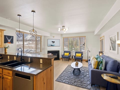Living Area with Sleeper Sofa / Kitchen