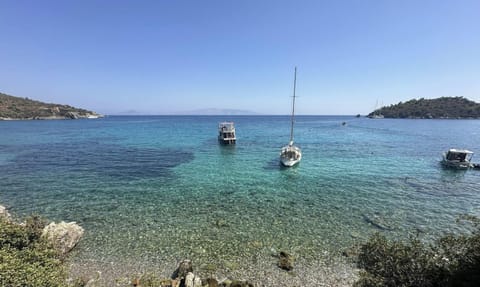 Beach nearby, white sand