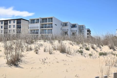 Ocean Front