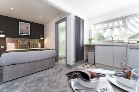 Modern studio with ensuite shower room and full kitchen