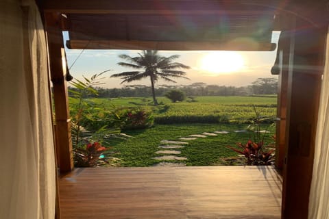 Classic Cottage | Living area