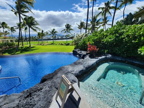 Infinity edge saltwater pool & hot tub
