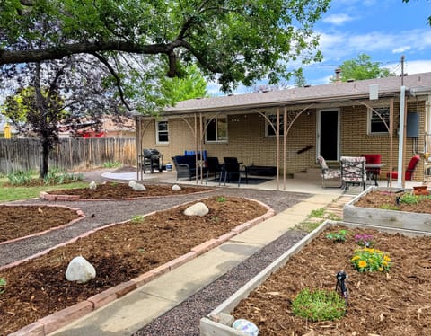Backyard patio and yard. 