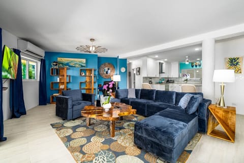 The lower level`s spacious and comfy living room!