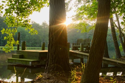 Nature's Front Row Seat: Settle in by the dock for more birdwatching or to catch the sunset as another amazing day comes to a close.

Like what you see? Add us to your wishlist by clicking the❤️in the upper-right corner.