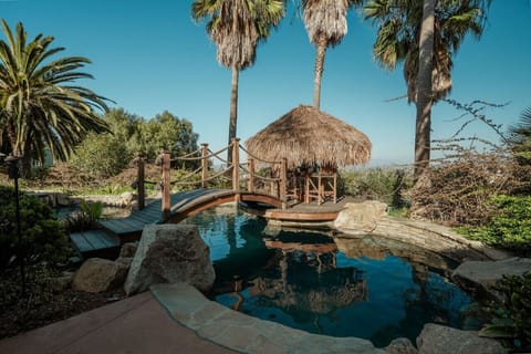 Pool and Palapa