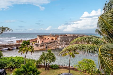 DSC_8861-18th-century Fortín San Gerónimo framed by swaying palms and Atlantic waves