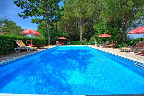 Garden, Outdoor, Pool