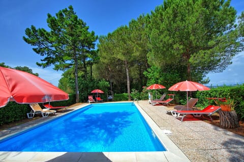 Garden, Outdoor, Pool