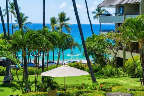 Condo, 1 King Bed with Sofa bed (White Sands Village#206) | Property grounds