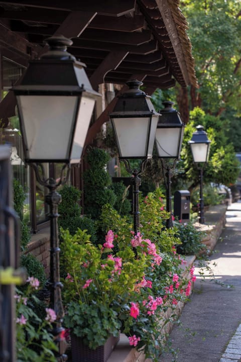 Lunch and dinner served, French cuisine