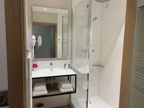 Standard Double Room | Bathroom | Shower, free toiletries, hair dryer, towels