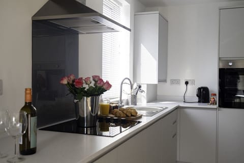 Modern kitchen with hob, oven fridge, freezer and all the utensils to cook a slap up meal