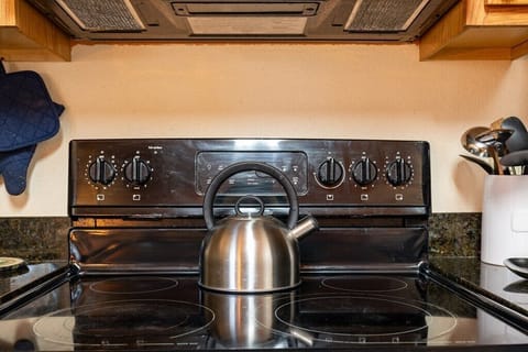 Electric stove and oven