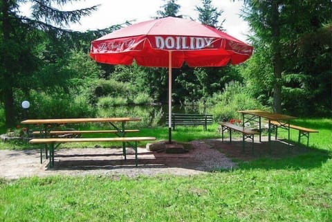 Immediate Surroundings [summer] (<1 km)